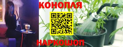 стафф Краснознаменск