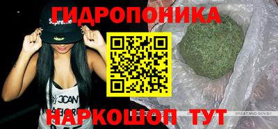 стафф Краснознаменск
