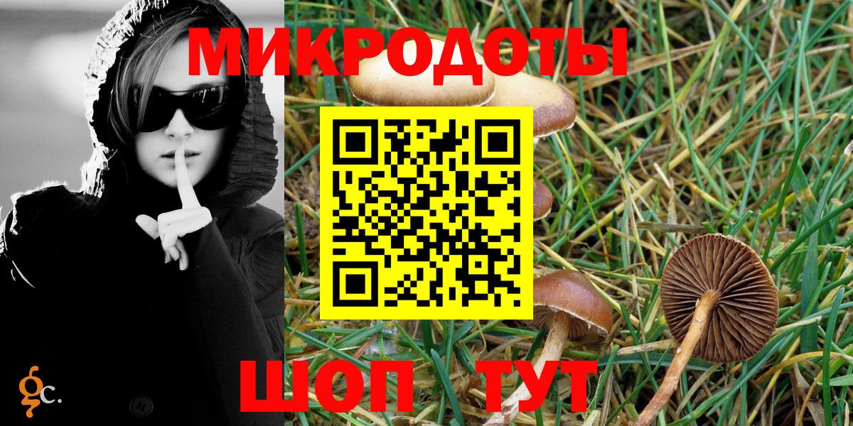 закладка  Псилоцибиновые грибы Psilocybine cubensis  Вход с VPN  Биробиджан 