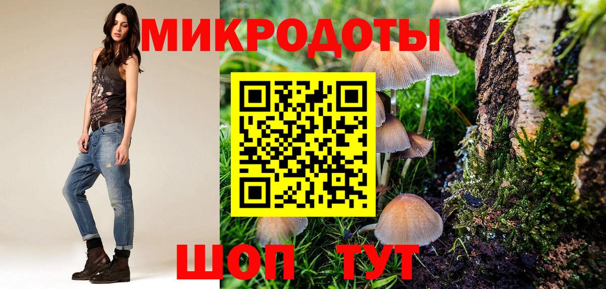 Галлюциногенные грибы Psilocybine cubensis Биробиджан